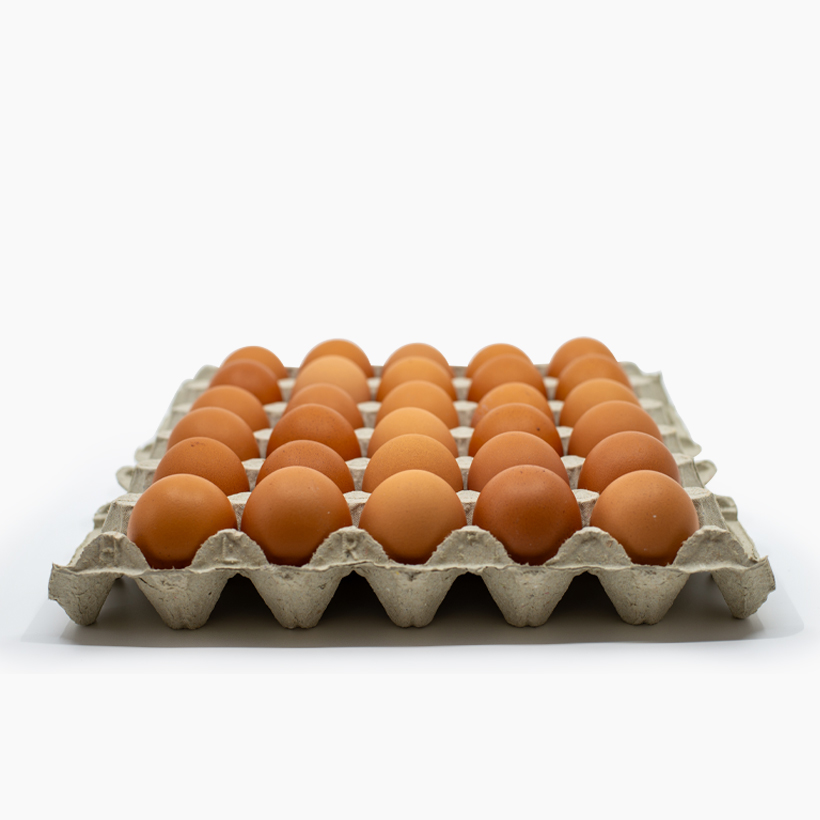 Oeufs-palette